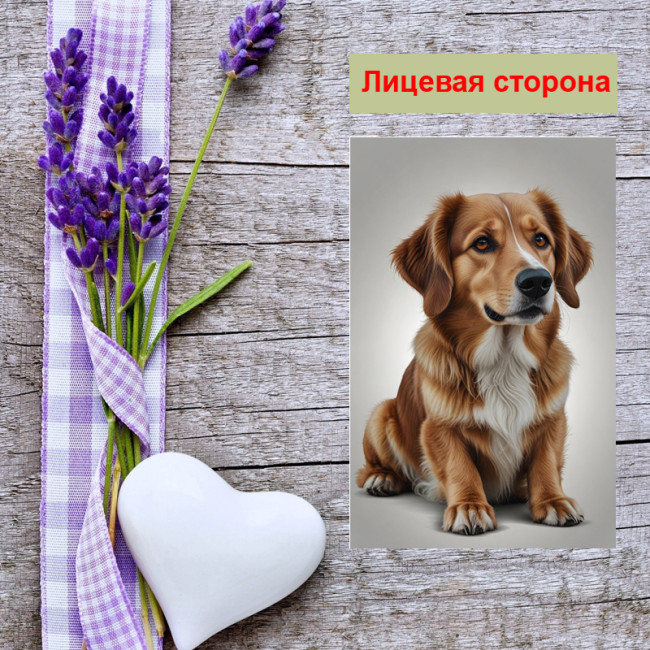 Мини открытка - карточка "Милый Бастер", бирка для подарков, односторонние, 20 шт - Артикул 210204