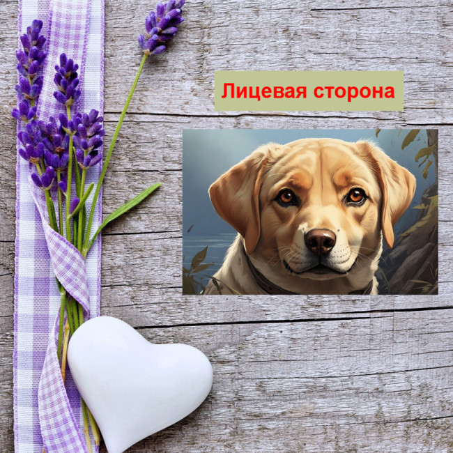Мини открытка - карточка "Милый лабрадор", бирка для подарков, односторонние, 20 шт - Артикул 210143