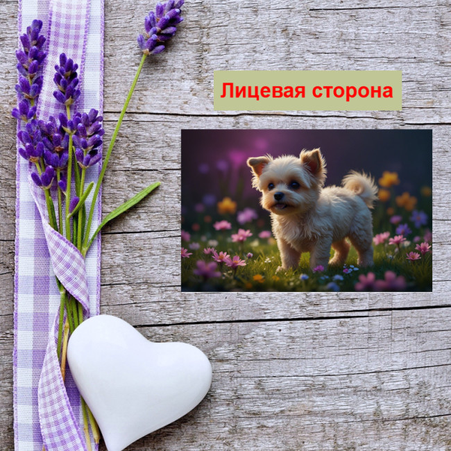 Мини открытка - карточка "Щенок на поле с цветами", бирка для подарков, односторонние, 20 шт - Артикул 210117