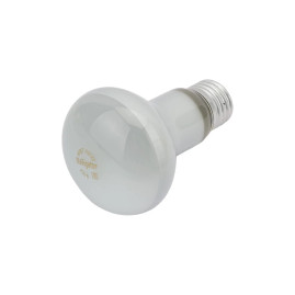 Лампочка накаливания R63 40W E27 220V