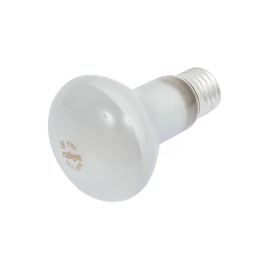 Лампочка накаливания R63 60W E27 220V