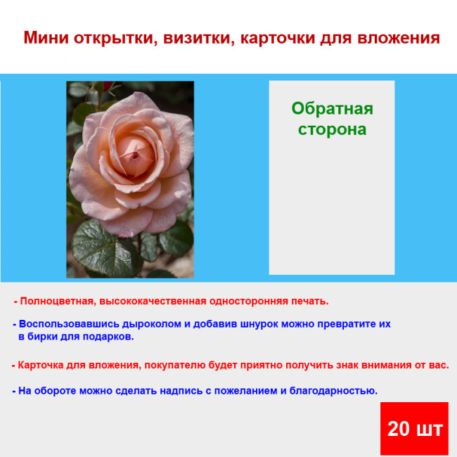 Мини открытка - карточка "Бутон, чайной розовой розы", бирка для подарков, односторонние, 20 шт - Артикул 210095