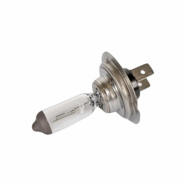Лампа автомобильная галогеновая H7, 12V, 55Вт, PX26d, ECO, BOSCH - 1 шт