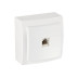 Розетка телефонная, открытой проводки цвет Белый NILSON - Артикул 26111040