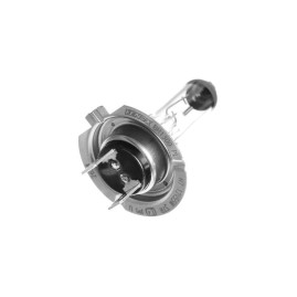 Лампа автомобильная галогеновая H7, 12V, 55Вт, PX26d, Fenox - 1 шт