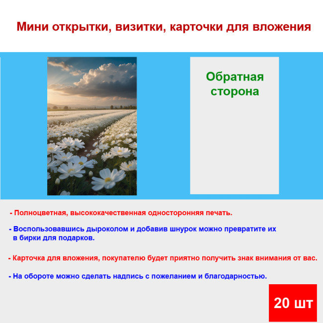 Мини открытка - карточка "Поле с белыми ромашками", бирка для подарков, односторонние, 20 шт - Артикул 210159