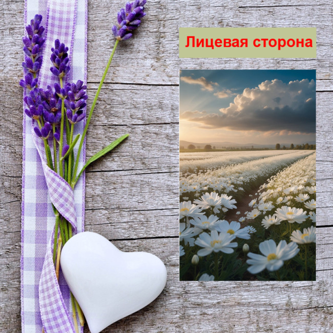 Мини открытка - карточка "Поле с белыми ромашками", бирка для подарков, односторонние, 20 шт - Артикул 210159