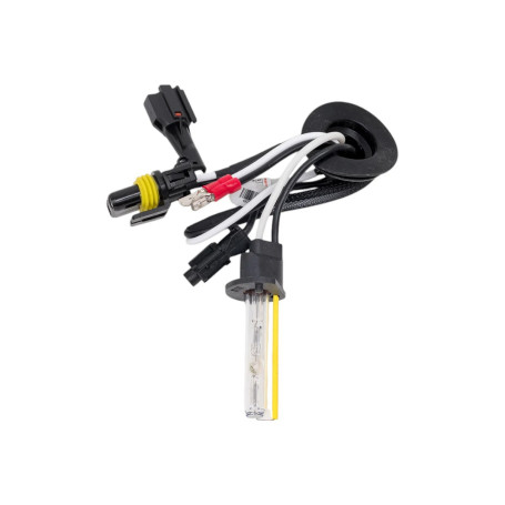 Лампы автомобильные ксеноновые H1, 12V/24V, 35Вт, P14.5s, 4300К, Xenon Premium+150% CLEARLIGHT - 2 шт - Артикул LDL00H1430LL_CLL