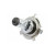 Лампа автомобильная галогеновая H19, 12V, 60/55Вт, PU43t-3, 3250k, PRIME.LT FENOX - 1 шт - Артикул BH2500_FEN