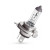 Лампа автомобильная галогеновая H19, 12V, 60/55Вт, PU43t-3, 3250k, PRIME.LT FENOX - 1 шт - Артикул BH2500_FEN