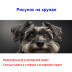 Кружка премиум с принтом "Цвергшнауцер", авторский дизайн, 330 мл, белая, Orca, 1 шт, 200123 - Артикул 200123