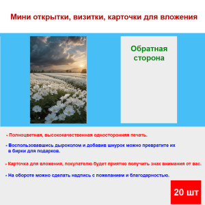 Мини открытка - карточка "Ромашки в поле", бирка для подарков, односторонние, 20 шт