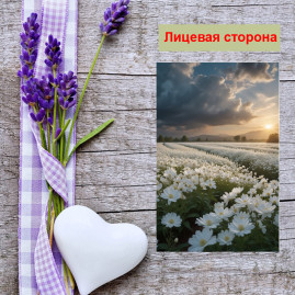 Мини открытка - карточка &quot;Ромашки в поле&quot;, бирка для подарков, односторонние, 20 шт