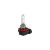 Лампа автомобильная галогеновая H9, 12V, 65Вт, PGJ19-5, 3200k, STANDARD XENITE - 1 шт - Артикул 1007016_XNI