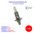 Лампа автомобильная галогеновая H1, 12V, 55Вт, P14.5s, 3200k, + 30% яркости, STANDARD XENITE - 2 шт - Артикул 1007086_XNI