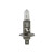 Лампа автомобильная галогеновая H1, 12V, 55Вт, P14.5s, 3200k, + 30% яркости, STANDARD XENITE - 2 шт - Артикул 1007086_XNI