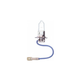 Лампа автомобильная галогеновая H3, 12V, 55Вт, РК22s, 3150k, Fenox - 1 шт