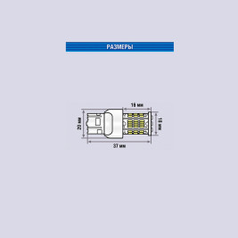 Лампы автомобильные светодиодные W21/5W, 12V, 11W, W3x16q, 5000K, 450Lm, XENITE - 2 шт