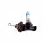 Лампа автомобильная галогеновая HB4, 12V, 51Вт, P22d, X-treme Vision +150%, CLEARLIGHT - 1 шт - Артикул ML9006XTV150_CLL