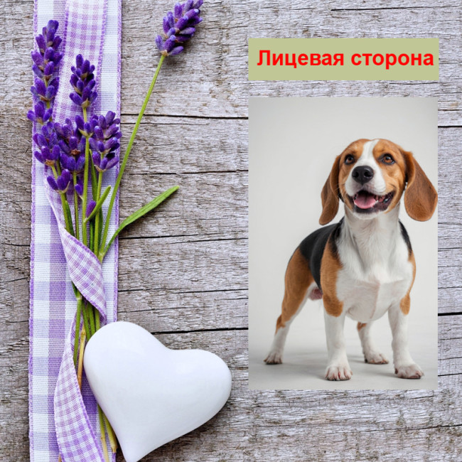 Мини открытка - карточка "Собака породы Бигль", бирка для подарков, односторонние, 20 шт - Артикул 210200