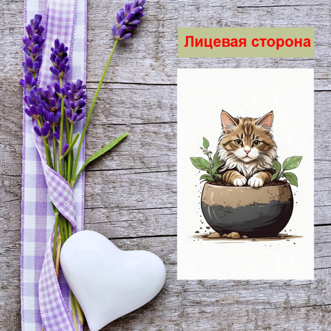 Мини открытка - карточка "Кот в горшке", бирка для подарков, односторонние, 20 шт - Артикул 210003