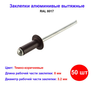 Заклепки 3.2 х 8 мм RAL 8017, темно-коричневые, 50 шт Заклепки 3.2 х 8 мм RAL 8017, темно-коричневые, 50 шт