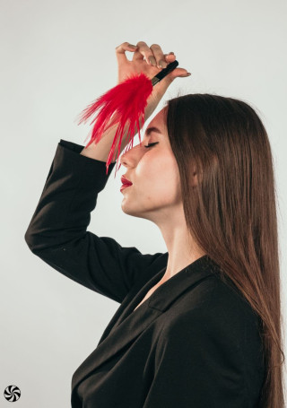 Красный перьевой тиклер Plume - 23 см. - Артикул 224572