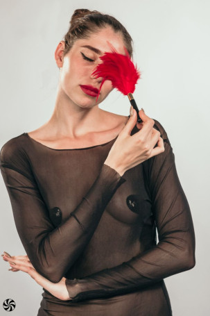 Красный перьевой тиклер Plume - 23 см. - Артикул 224572