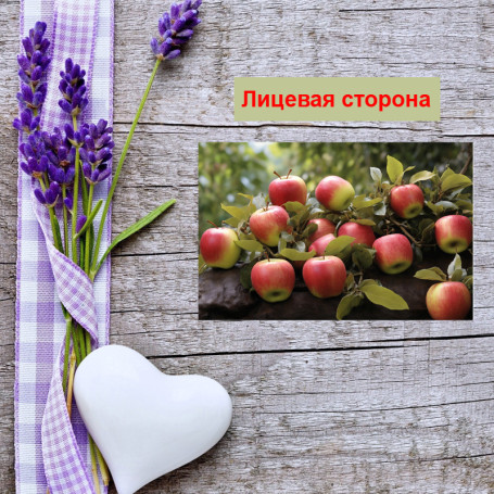 Мини открытка - карточка &quot;Красные яблочки&quot;, бирка для подарков, односторонние, 20 шт - Артикул 210126