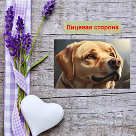 Мини открытка - карточка "Лабрадор", бирка для подарков, односторонние, 20 шт