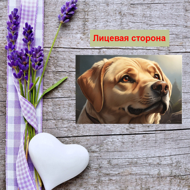 Мини открытка - карточка "Лабрадор", бирка для подарков, односторонние, 20 шт - Артикул 210142