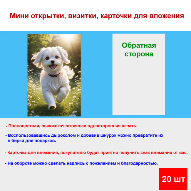 Мини открытка - карточка "Мальтийская собака", бирка для подарков, односторонние, 20 шт - Артикул 210215