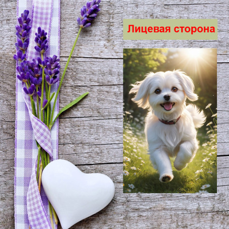 Мини открытка - карточка &quot;Мальтийская собака&quot;, бирка для подарков, односторонние, 20 шт - Артикул 210215