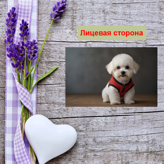 Мини открытка - карточка "Белый пес в красном костюме", бирка для подарков, односторонние, 20 шт - Артикул 210137