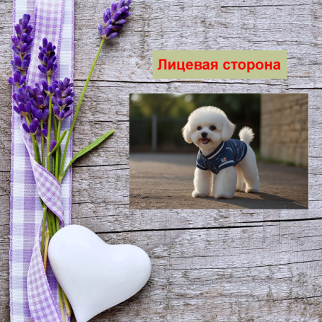 Мини открытка - карточка &quot;Белый пес в синем костюме&quot;, бирка для подарков, односторонние, 20 шт - Артикул 210136