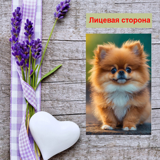 Мини открытка - карточка "Милая рыжая собачка", бирка для подарков, односторонние, 20 шт - Артикул 210043