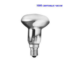 Лампочка зеркальная R39, E14, 30 Вт, Camelion